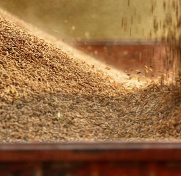 Il progetto Strada del Riso Piemontese di Qualità