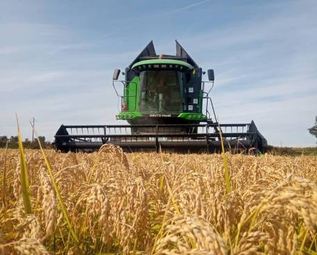 Azienda Agricola Rovere