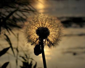 Andando di Silvia Fumagalli
