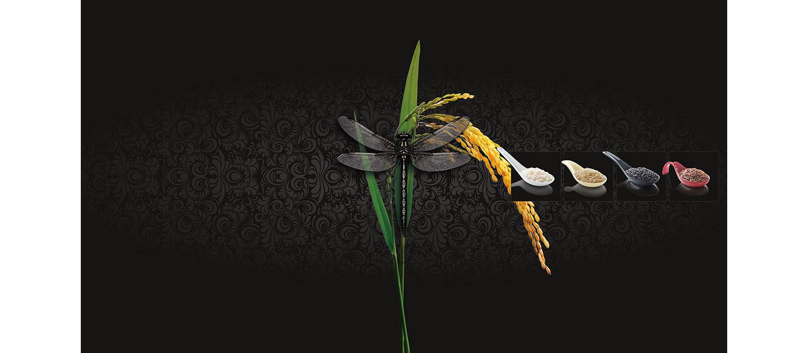 Strada del Riso Vercellese